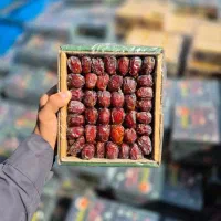 خرما کبکاب لیمو ترش خرما زاهدی