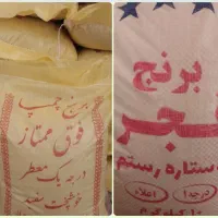 برنج محلی چمپا و فجر اقتصادی