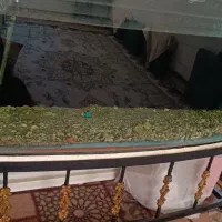 اکواریوم با پایه اهنی با تخفیف ویه ماهی اشانتیان
