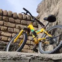 دوچرخه سالم