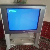 تلویزیون