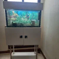 آکواریوم آماده راه‌اندازی