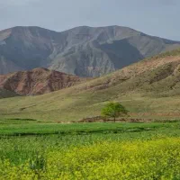 فروش زمین باغی جهت ویلا