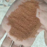 خاگشیر