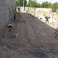 زمین جهت ساخت باغ و ویلا