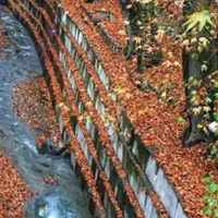 پیمایش سبک تمرینی کوهنـوردی درکه تا آبشار کارا