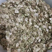 پودر آویشن خشک شده و گلپر بسیار خوشبو