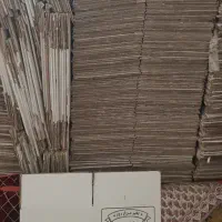 کارتن تخم‌مرغ با شانه