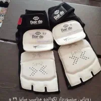 روپایی سنسوردار تکواندو
