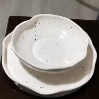 ظروف سرامیکی