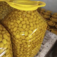استخدام نیروی کار