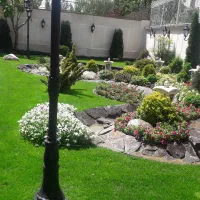 خدمات باغبانی تعویض خاک گلدون کاشت فروش گل