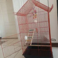 قفس پرنده بزرگ