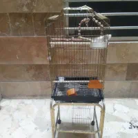 قفس پرنده