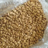 بادام تلخ