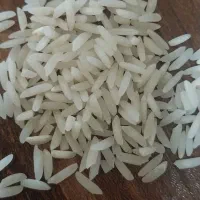 فروش برنج طارم هاشمی
