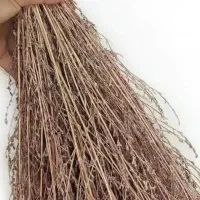گزک|لوازم نظافت|خاو و میرآباد, |دیوار