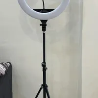 رینگلایت