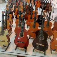 گیتار بیـش از هـزاران مـدل
