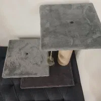 اسکراچر گربه.کاملا نو
