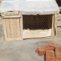 قفس کبوتر مرغ