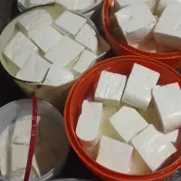 پنیر محلی گاوی