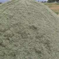فروش یونجه