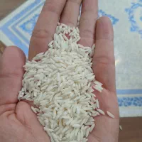 برنج هاشمی ۵۵ کیلو