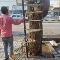 پله پیچ (پله گرد)