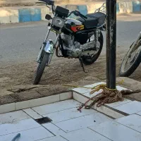 موتور سیکلت ۲۰۰احسان