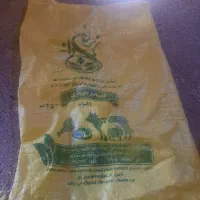 کیسه خالی