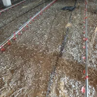 کود مرغی سالنی خشک درجه یک