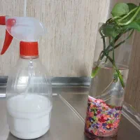 سم سوسک کابینت بدون بو