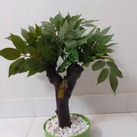 گل مصنوعی|گل مصنوعی|تهران, ارجمندی راد|دیوار