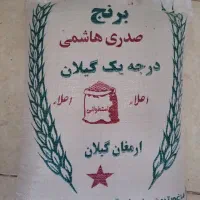برنج گیلان کالابرگ