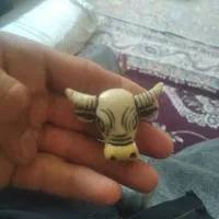 استخوان  گاو