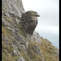 مشاوره وخرید سکه واجناس قدیمی ...زیر