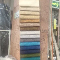 شانل تدی