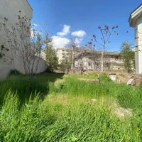 کلنگی-500-متر-تجریش-سعد-آباد