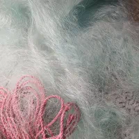 تورماهیگیری دریا