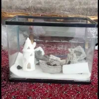 اکواریوم شیشه خم
