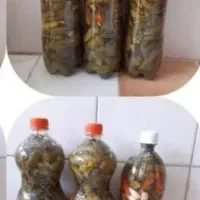 خیارشور ترد و خوشمزه