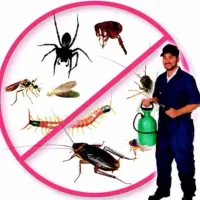 شوشتر سمپاشی و موریانه زدایی سم پاشی ساس سوسک