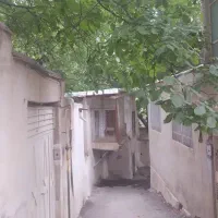 تجاری-اصلی