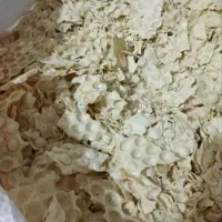 نون خشک تمیز بدون کپک