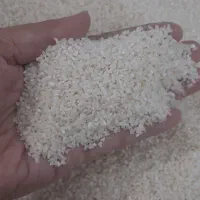 برنج ریز دانه (لاشه)هاشمی
