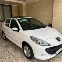 ۲۰۷ دنده پانا با رینگ درحد خشک