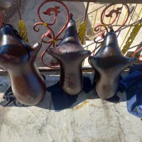 هیزه سالم ونو