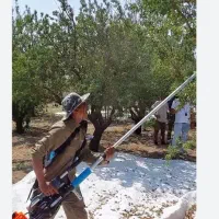 بادوم چین