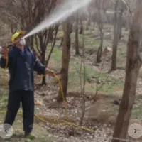 سم پاشی با پمپ قوی